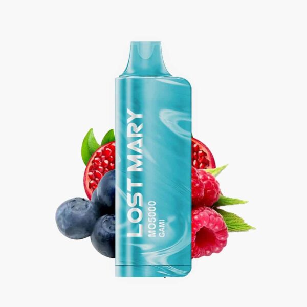 Lost Mary Mo5000 | Gami (blueberries raspberries pomegranate)